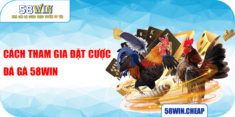 ĐÁ GÀ 4 Cách tham gia đặt cược Đá gà 58win
