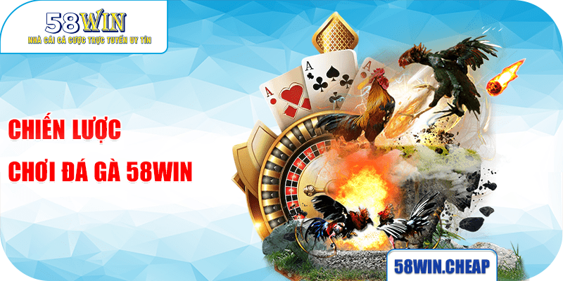 ĐÁ GÀ 5 Chiến lược chơi đá gà 58win