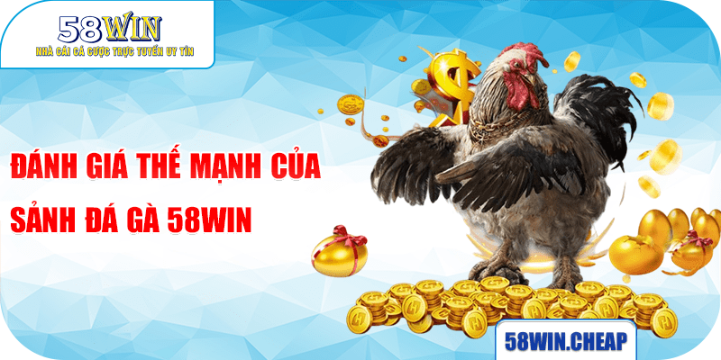 ĐÁ GÀ 2 Đánh giá thế mạnh của sảnh đá gà 58win