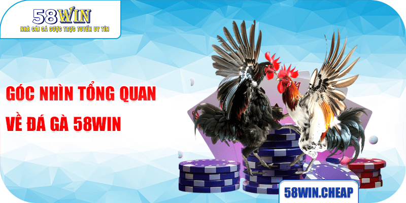 ĐÁ GÀ 1 Góc nhìn tổng quan về đá gà 58win